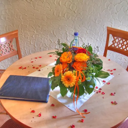Vogel Hotel Appartement&Spa-2